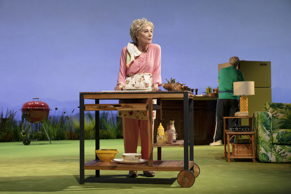 Photos: First Look at Nathan Lane, Danny Burstein & Zoë Wanamaker in PICTURES FROM HOME Image
