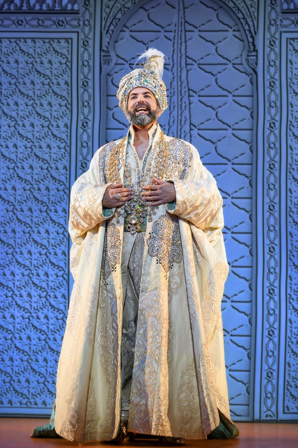 Photos & Video: Check Out All New Images & Footage of ALADDIN North American Tour! Image