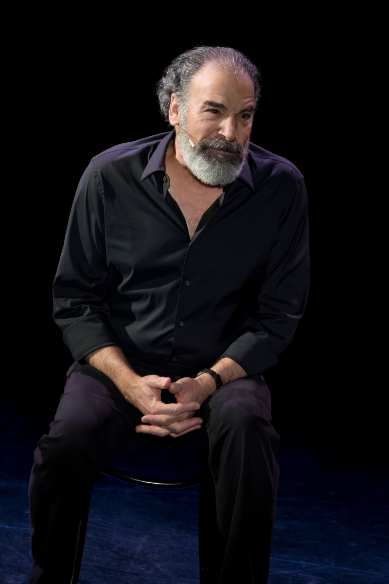 Review: MANDY PATINKIN: BEING ALIVE at Proctors Theatre 