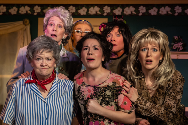 Photos: First look at The Alcove Dinner Theatre and Bruce Jacklin & Company's STEEL MAGNOLIAS 