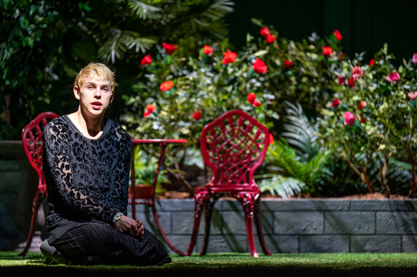 Photos: First Look At The Canadian Premiere Of THINGS I KNOW TO BE TRUE By Andrew Bovell 