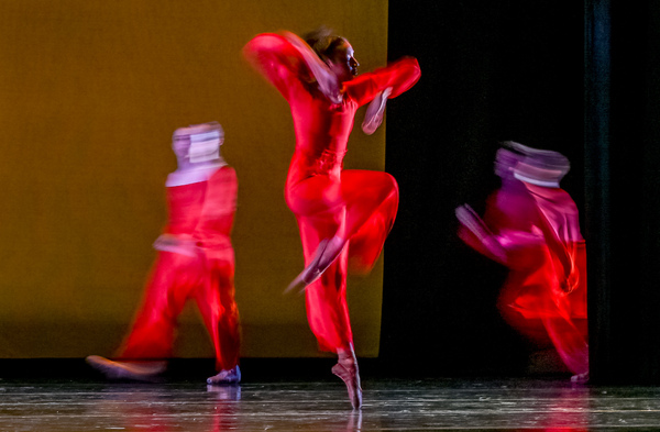Photos: Go Inside FORWARD MOTION at Perelman Theater Image
