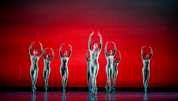 Photos: Go Inside FORWARD MOTION at Perelman Theater Image