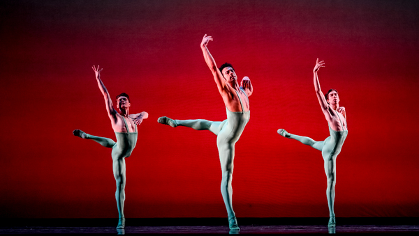 Photos: Go Inside FORWARD MOTION at Perelman Theater Image