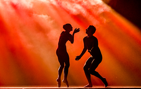 Photos: Go Inside FORWARD MOTION at Perelman Theater Image