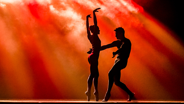 Photos: Go Inside FORWARD MOTION at Perelman Theater  Image