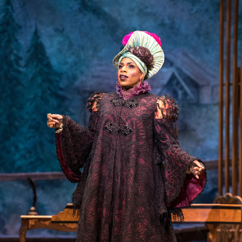 Review: THE DAUGHTER OF THE REGIMENT at Minnesota Opera  Image