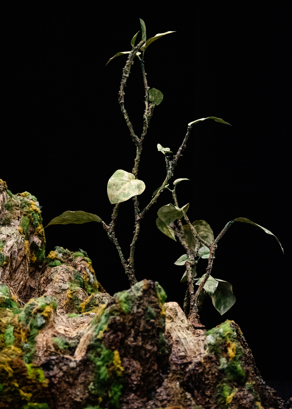 Photos: In Rehearsal for The Royal Opera's New Production Of Dvořák's Timeless Ode To Nature, RUSALKA Image