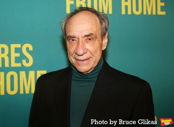 Photos: On the Red Carpet for PICTURES FROM HOME Opening Night Image