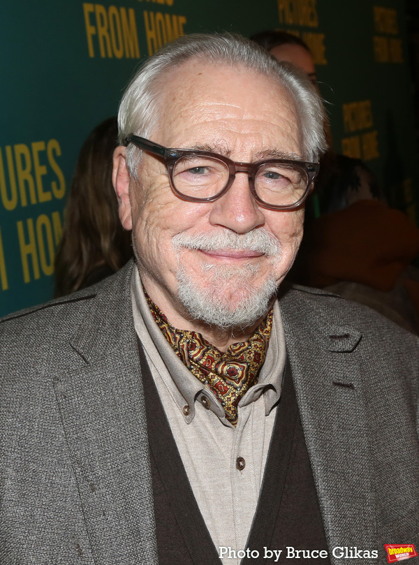 Photos: On the Red Carpet for PICTURES FROM HOME Opening Night Image