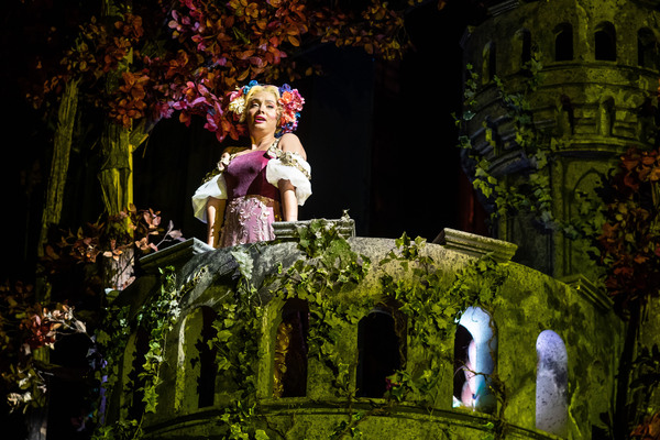 Photos: First Look at Natalie Weiss and More in INTO THE WOODS at Paramount Theatre 