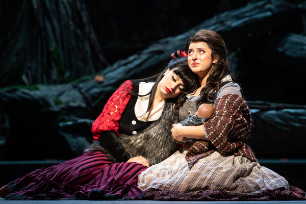 Photos: First Look at Natalie Weiss and More in INTO THE WOODS at Paramount Theatre 