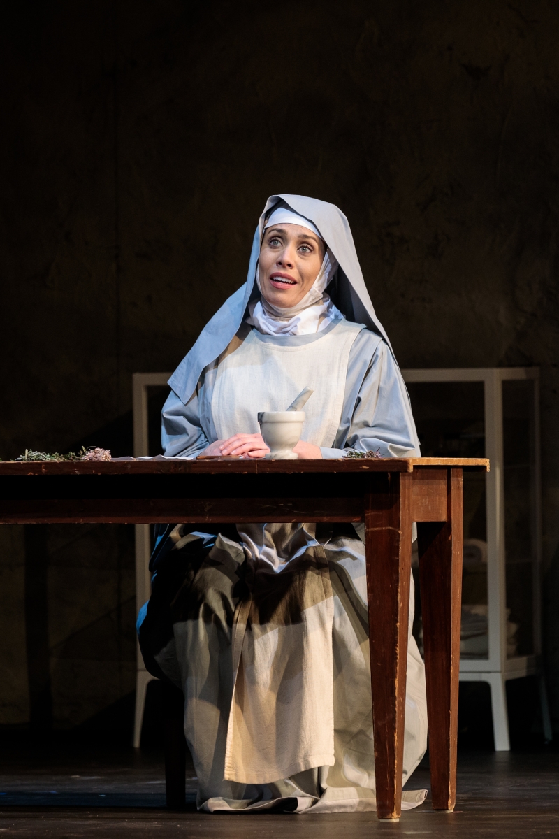 Review: THE SAN DIEGO OPERA'S PUCCINI DUO at San Diego Civic Center Theater Image