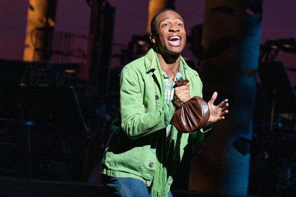 Photos/Video: First Look at Stephanie J. Block, Sebastian Arcelus, Montego Glover, Gavin Creel, and More in the INTO THE WOODS Tour Image