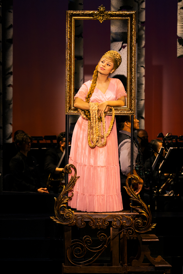 Photos/Video: First Look at Stephanie J. Block, Sebastian Arcelus, Montego Glover, Gavin Creel, and More in the INTO THE WOODS Tour Image