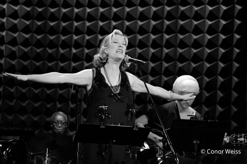 Photos: JUSTIN VIVIAN BOND DELIVERS A JULIE VALENTINE at Joe's Pub by Photographer Conor Weiss Image