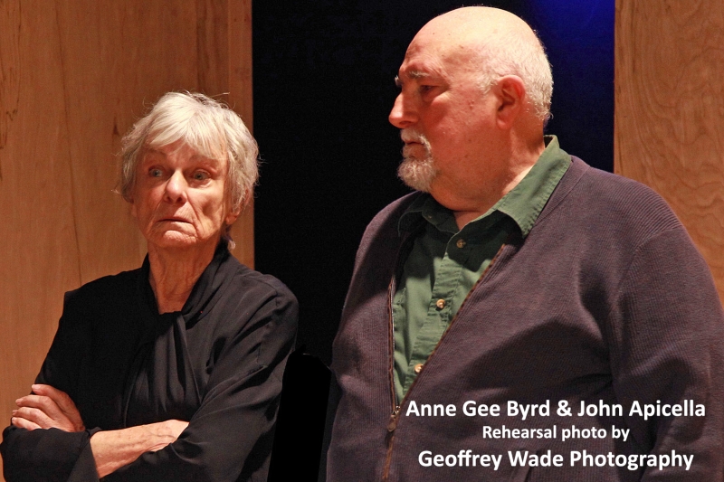 Interview: Emily Chase Talks LOVE AND INFORMATION At Antaeus Theatre Company Image