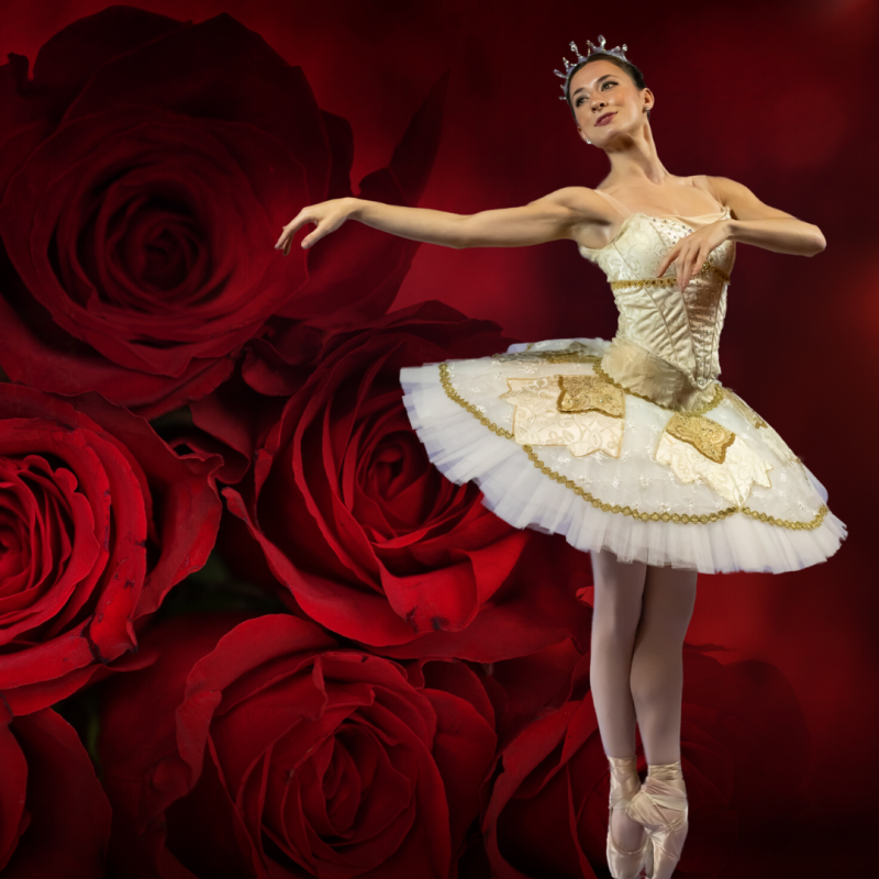 Review: SLEEPING BEAUTY at UA-Pulaski Tech: The Center For Humanities And Arts Image