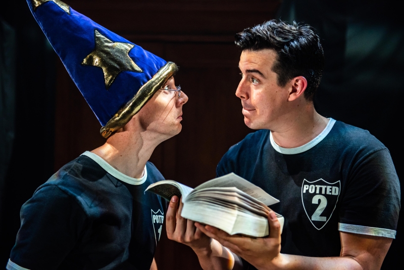 Review: POTTED POTTER at Pantages Theater Image