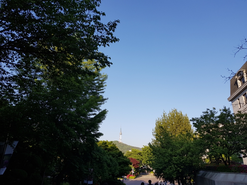 Student Blog: Back to School: University Life is Back to Normal Image