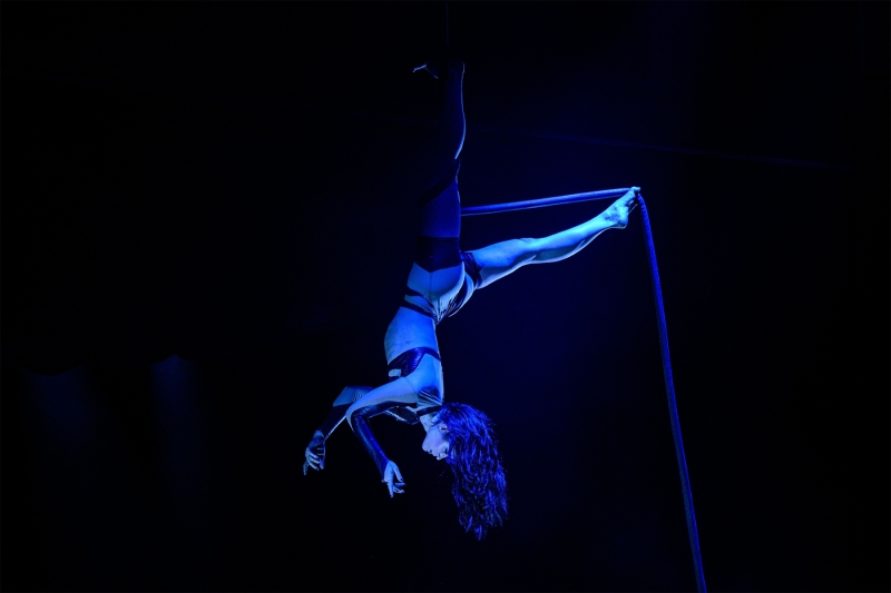 Review: ORACLE: A MYTHICAL JOURNEY THROUGH THE STARS At Regal Theatre Image