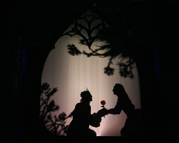 Review: BEAUTY AND THE BEAST at Synetic Theater  Image