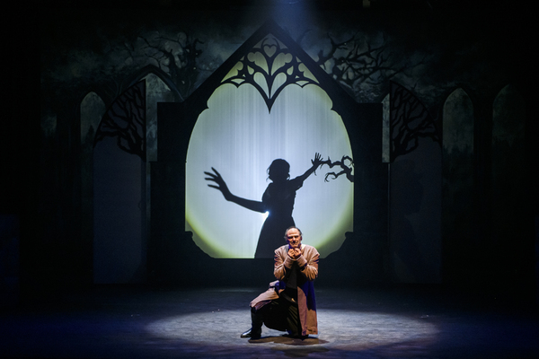 Review: BEAUTY AND THE BEAST at Synetic Theater Image