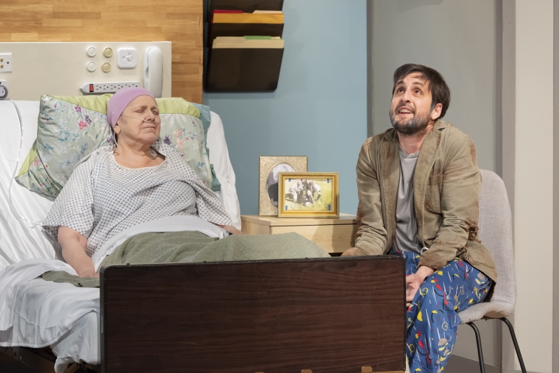 Review: A FUNNY THING HAPPENED ON THE WAY TO THE GYNECOLOGIC ONCOLOGY UNIT AT MEMORIAL SLOAN-KETTERING at Dezart Performs 