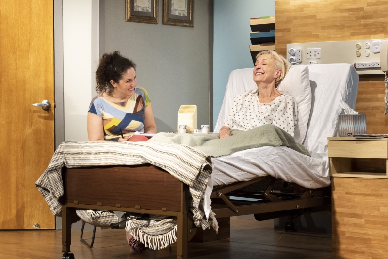 Review: A FUNNY THING HAPPENED ON THE WAY TO THE GYNECOLOGIC ONCOLOGY UNIT AT MEMORIAL SLOAN-KETTERING at Dezart Performs 