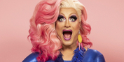 Panti Bliss Returns to Dublin With IF THESE WIGS COULD TALK Photo