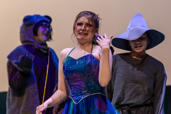 Photos: First look at Dublin Jerome High School Drama Club present's SHREK THE MUSICAL  Image