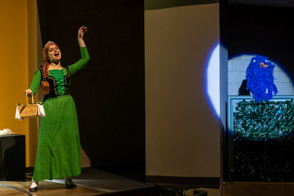 Photos: First look at Dublin Jerome High School Drama Club present's SHREK THE MUSICAL  Image