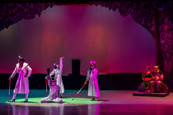 Photos: First look at Dublin Jerome High School Drama Club present's SHREK THE MUSICAL  Image