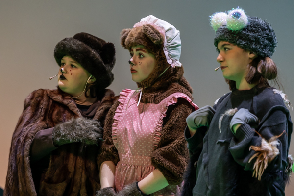 Photos: First look at Dublin Jerome High School Drama Club present's SHREK THE MUSICAL  Image