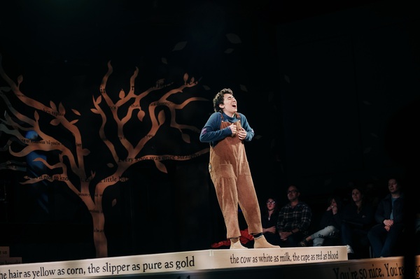 Photos: First Look at Prima Theatre's INTO THE WOODS Image