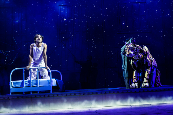 Photos: Get a First Look at LIFE OF PI on Broadway Image