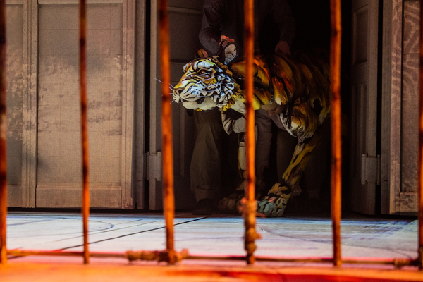 Photos: Get a First Look at LIFE OF PI on Broadway Image