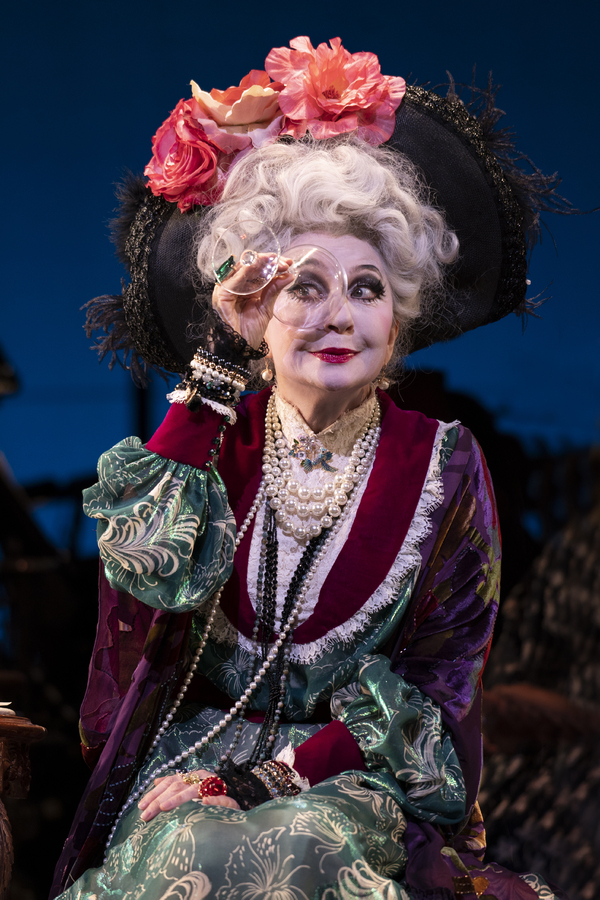 Photos/Video: First Look at Donna Murphy, Brooks Ashmanskas & More in DEAR WORLD at Encores! Image