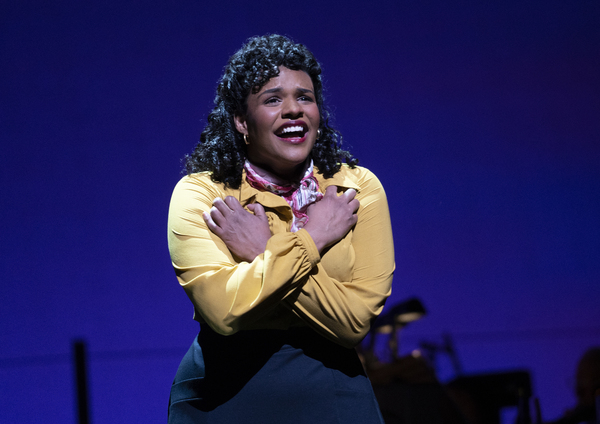 Photos/Video: First Look at Donna Murphy, Brooks Ashmanskas & More in DEAR WORLD at Encores! Image