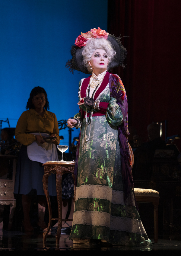 Photos/Video: First Look at Donna Murphy, Brooks Ashmanskas & More in DEAR WORLD at Encores! Image