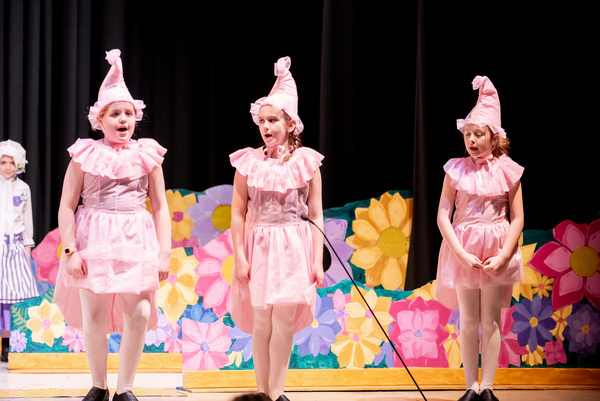 Photos: First Look At Liberty Union Musical Theater's THE WIZARD OF OZ Image