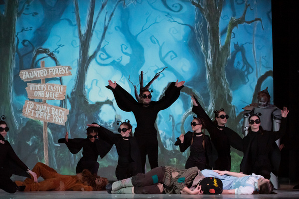 Photos: First Look At Liberty Union Musical Theater's THE WIZARD OF OZ Image