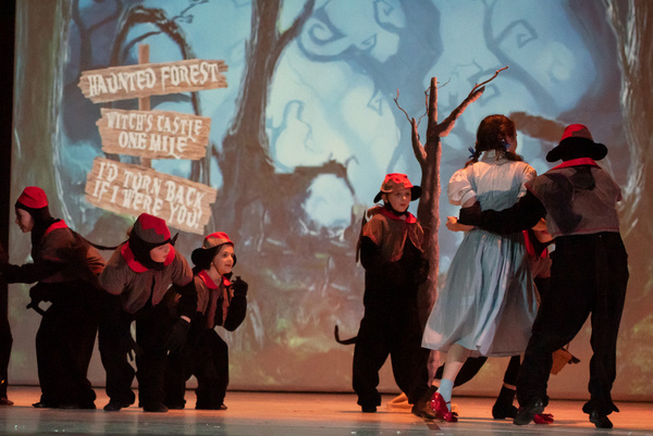 Photos: First Look At Liberty Union Musical Theater's THE WIZARD OF OZ Image