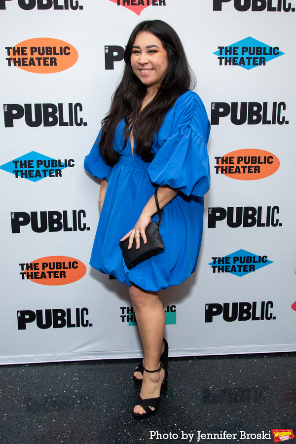 Photos: Go Inside Opening Night of THE HARDER THEY COME At The Public Theater Image