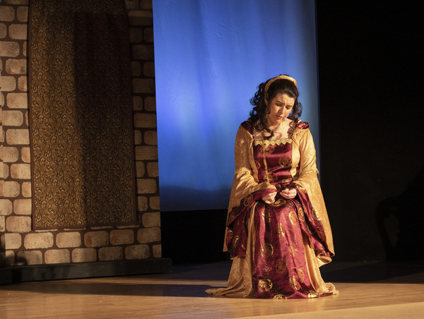 Photos: First Look at THE SOMEWHAT TRUE TALE OF ROBIN HOOD at The Shelburne Players Image