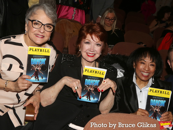 Photos: Stars Walk the Red Carpet for Opening Night of DANCIN' Image
