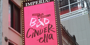Video: On the Opening Night Red Carpet for BAD CINDERELLA- Live! Photo