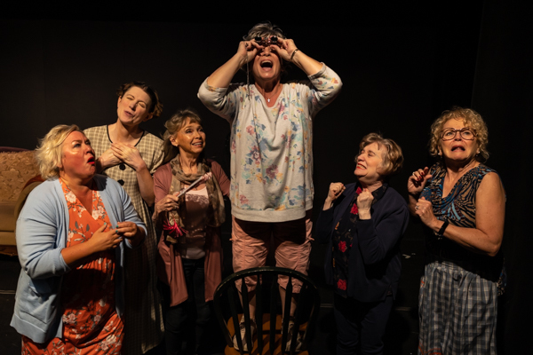 Photos: First look at Aethereal Jest Arts Council's Community Theatre Triple Feature - Volume One Image