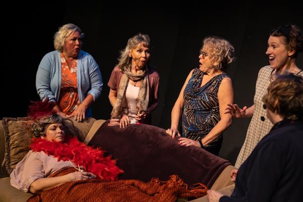 Photos: First look at Aethereal Jest Arts Council's Community Theatre Triple Feature - Volume One Image