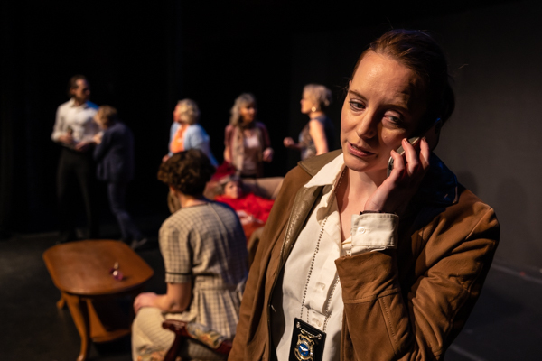Photos: First look at Aethereal Jest Arts Council's Community Theatre Triple Feature - Volume One Image